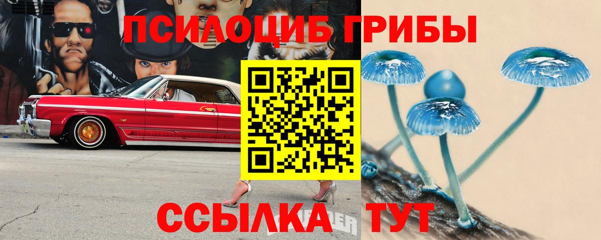 Зерноград  Галлюциногенные грибы Cubensis  Вход с VPN 